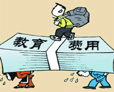 調查顯示:子女教育費用占城市家庭總收入30%