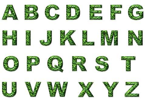 2021中考各科復習策略英語篇