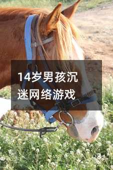 14歲男孩沉迷網絡游戲