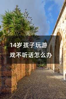 14歲孩子玩游戲不聽話怎么辦_