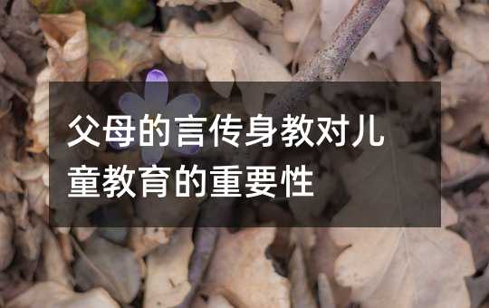 ĸԂ̌ͯҪ