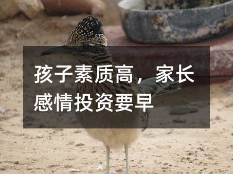 孩子素質(zhì)高,家長感情投資要早
