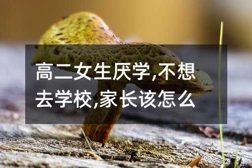 ߶ŮW(xu),ȥW(xu)У,L(zhng)ԓô