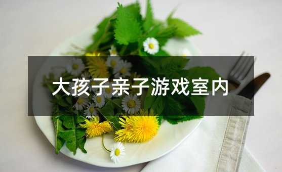 大孩子親子游戲室內(nèi)