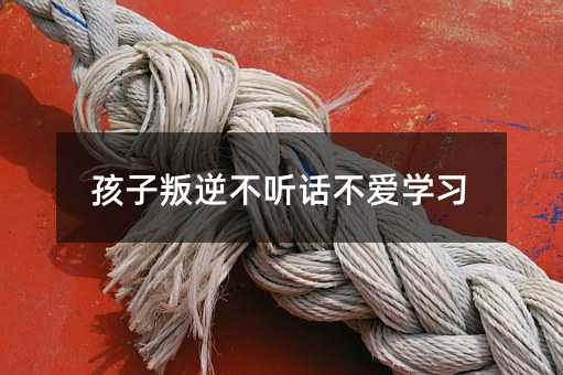 孩子叛逆不聽話不愛學(xué)習(xí)