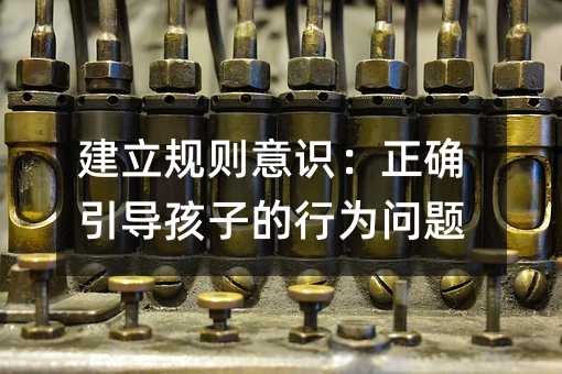 建立規(guī)則意識(shí):正確引導(dǎo)孩子的行為問題