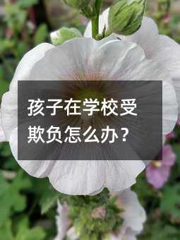 ڌW(xu)Уؓ(f)ôk