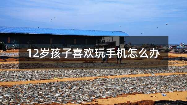 12歲孩子喜歡玩手機(jī)怎么辦