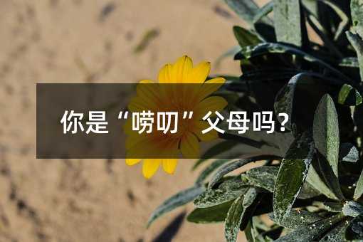 你是“嘮叨”父母嗎?