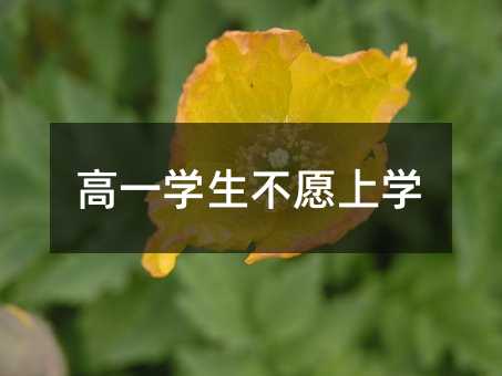 高一學生不愿上學
