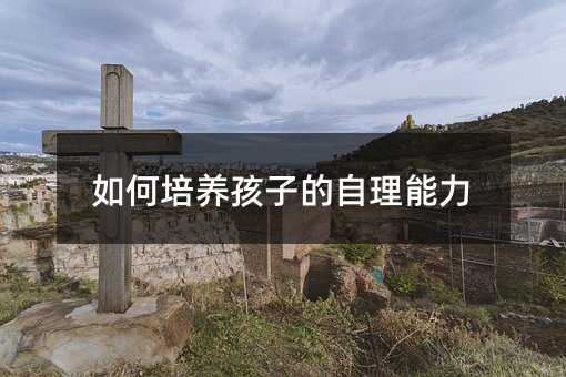 如何培養(yǎng)孩子的自理能力