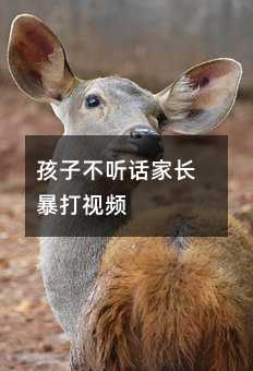 孩子不聽話家長暴打視頻