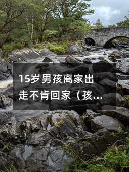 15歲男孩離家出走不肯回家(孩子不愿意上學(xué)離家出走)