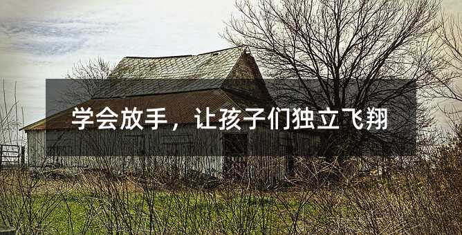 學(xué)會放手,讓孩子們獨立飛翔