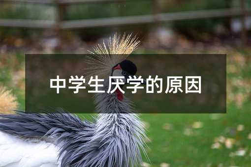 中學生厭學的原因