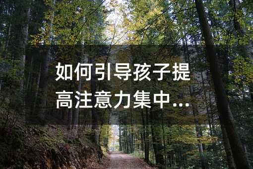 如何引導(dǎo)孩子提高注意力集中能力