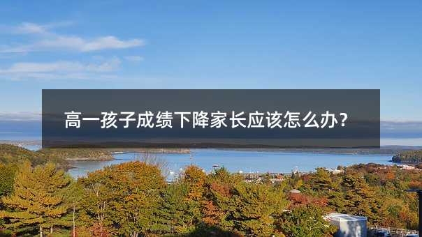 高一孩子成績下降家長應該怎么辦?