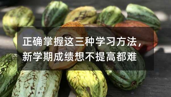 正確掌握這三種學(xué)習(xí)方法,新學(xué)期成績想不提高都難