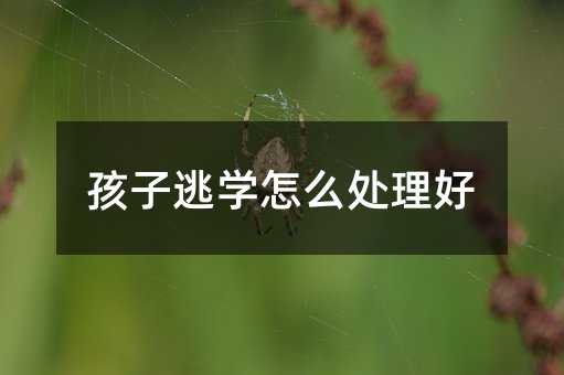 ӌWô̎