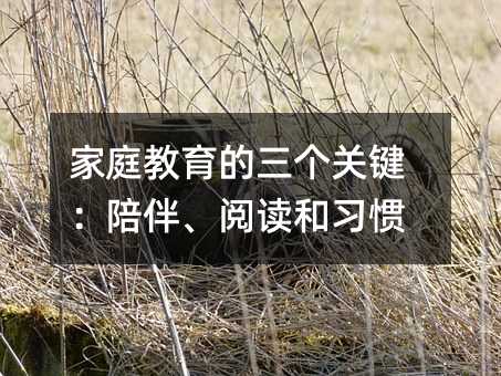 ͥP(gun)I顢x(x)T