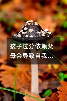 孩子過分依賴父母會導致自我成長的不足