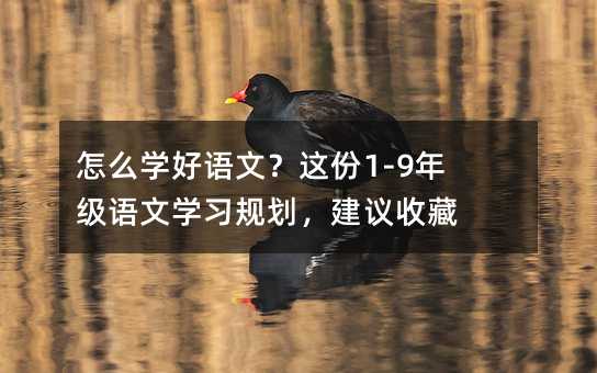 怎么學好語文?這份1-9年級語文學習規劃,建議收藏