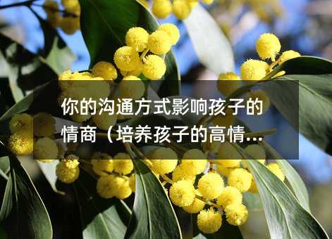 你的溝通方式影響孩子的情商(培養(yǎng)孩子的高情商)