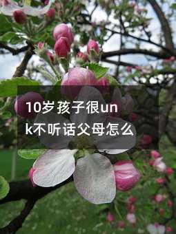 10歲孩子很unk不聽話父母怎么辦