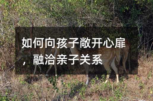 如何向孩子敞開心扉,融洽親子關系