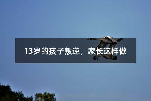 13歲的孩子叛逆,家長這樣做
