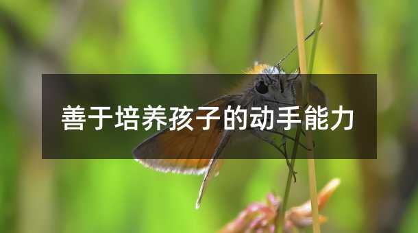 善于培養(yǎng)孩子的動(dòng)手能力