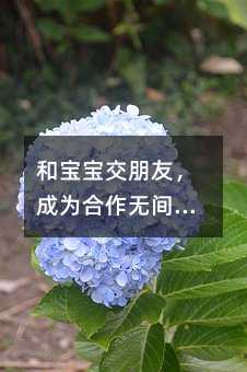 和寶寶交朋友,成為合作無間玩伴