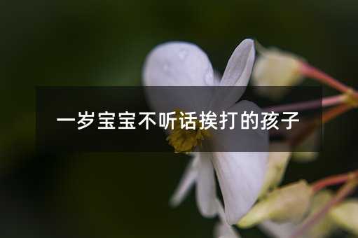 一歲寶寶不聽話挨打的孩子