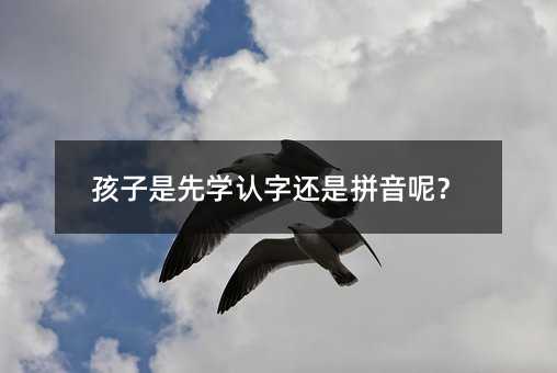 孩子是先學認字還是拼音呢?