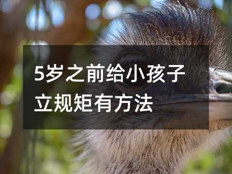 5歲之前給小孩子立規矩有方法