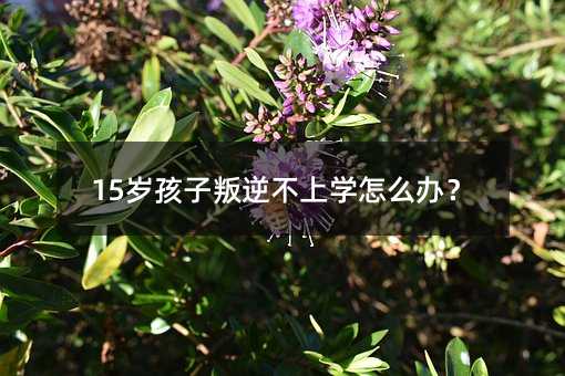 15歲孩子叛逆不上學怎么辦?