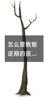 ôܽڵĺ
