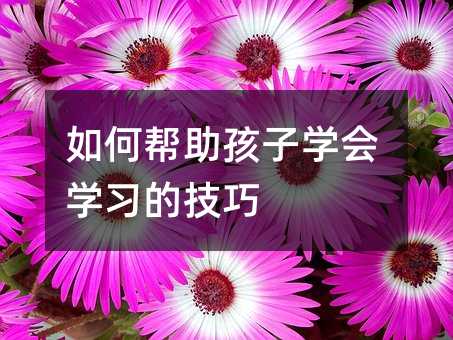 如何幫助孩子學(xué)會學(xué)習(xí)的技巧