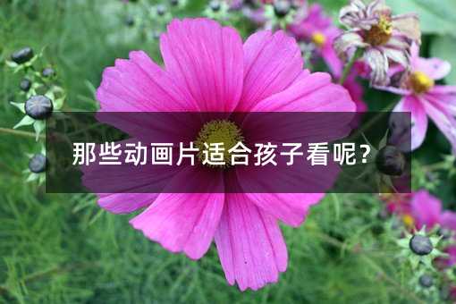 那些動畫片適合孩子看呢?