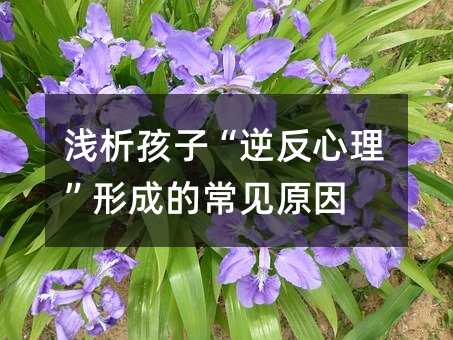 \ӡ淴γɵĳҊ(jin)ԭ