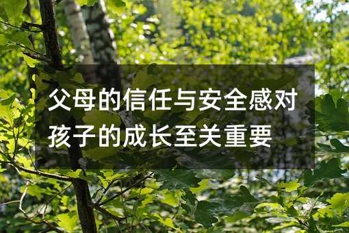 父母的信任與安全感對孩子的成長至關重要
