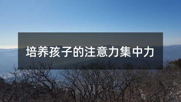 培養孩子的注意力集中力