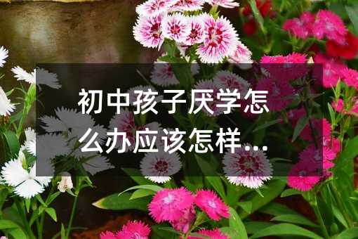 初中孩子厭學(xué)怎么辦應(yīng)該怎樣開導(dǎo)