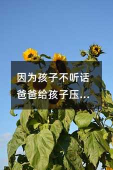 因?yàn)楹⒆硬宦犜挵职纸o孩子壓腿_