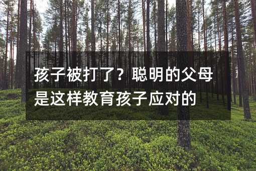 孩子被打了?聰明的父母是這樣教育孩子應對的