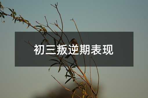 初三叛逆期表現