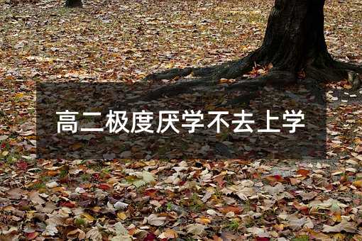 高二極度厭學(xué)不去上學(xué)