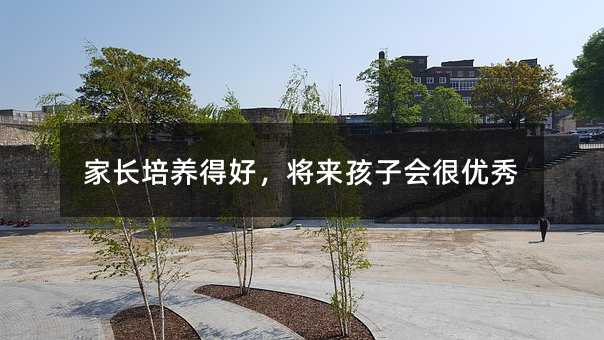 家長(zhǎng)培養(yǎng)得好,將來(lái)孩子會(huì)很優(yōu)秀