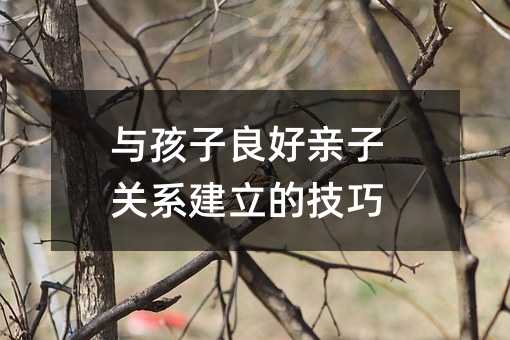 與孩子良好親子關系建立的技巧