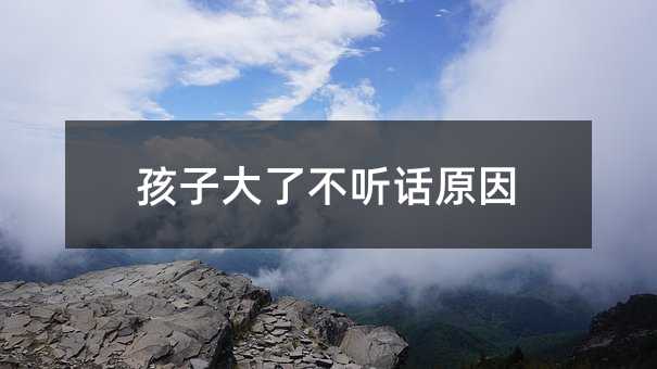 孩子大了不聽話原因